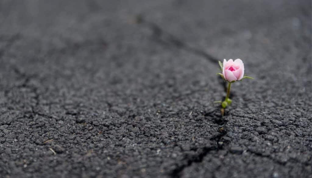 How adversity can lead to resilience, growth, and learning for an opportunity-filled life